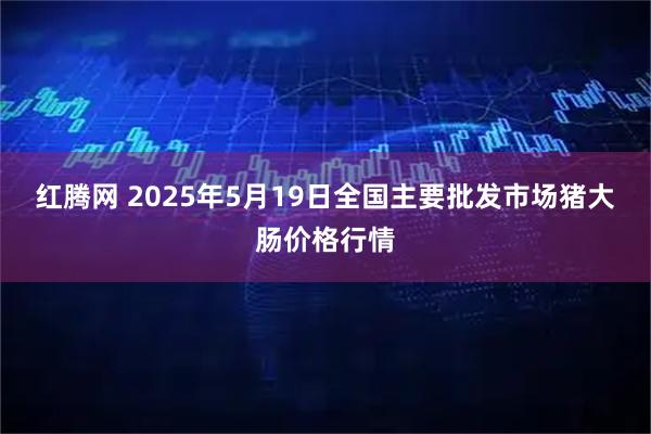 红腾网 2025年5月19日全国主要批发市场猪大肠价格行情