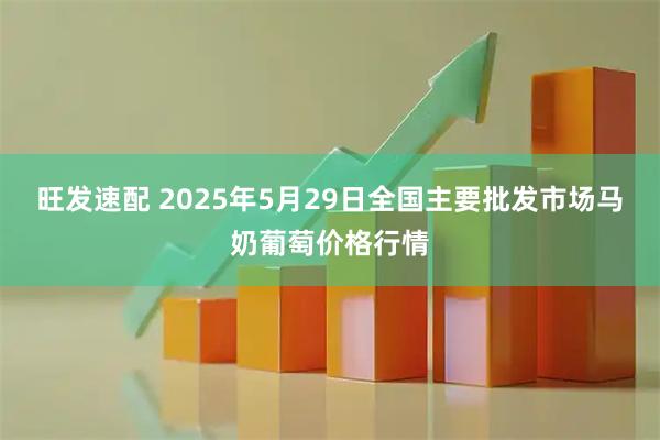 旺发速配 2025年5月29日全国主要批发市场马奶葡萄价格行情