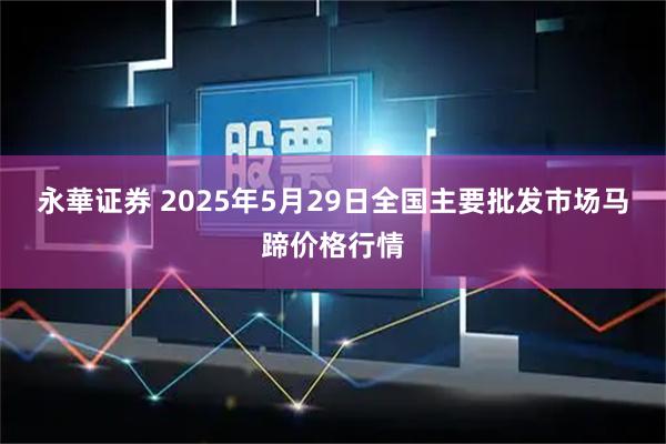 永華证券 2025年5月29日全国主要批发市场马蹄价格行情