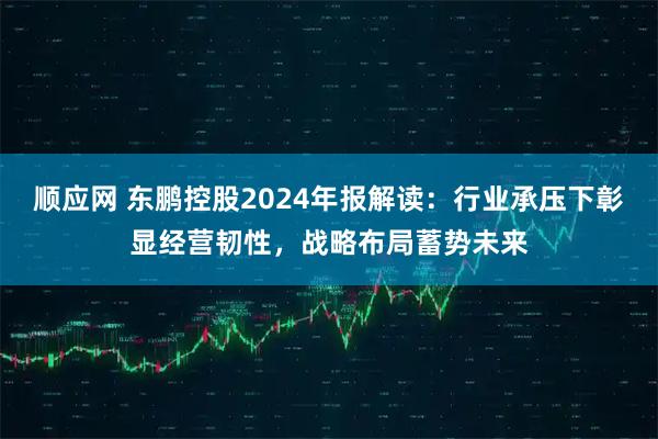 顺应网 东鹏控股2024年报解读：行业承压下彰显经营韧性，战略布局蓄势未来