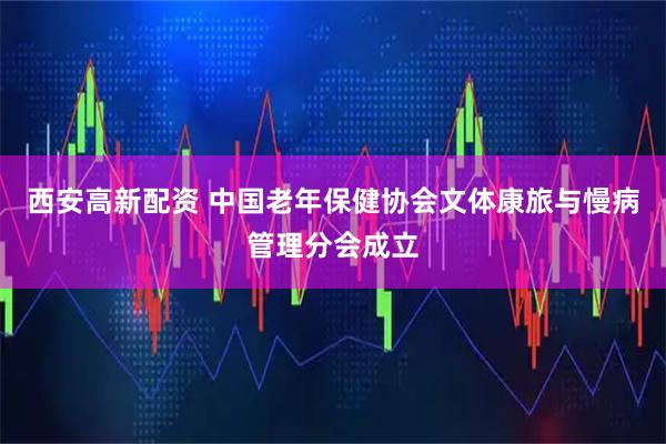 西安高新配资 中国老年保健协会文体康旅与慢病管理分会成立