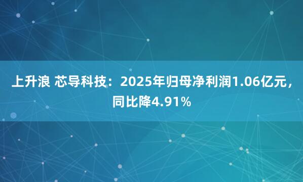 上升浪 芯导科技：2025年归母净利润1.06亿元，同比降4.91%