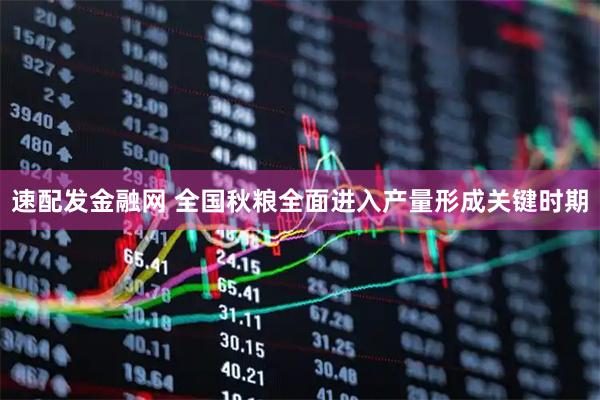 速配发金融网 全国秋粮全面进入产量形成关键时期